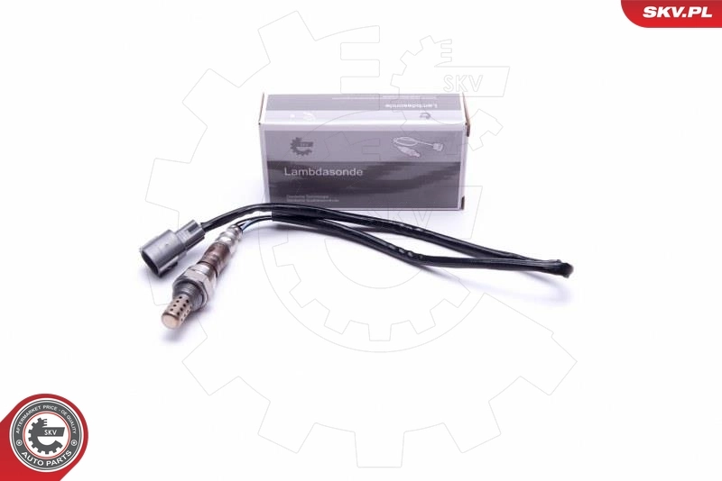 Oxygen Sensor
